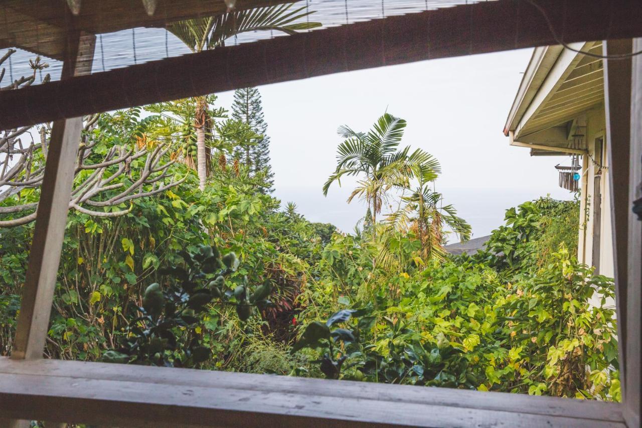 Kona Hawaii Guest House A Unique Hawaii Experience Keauhou Bagian luar foto