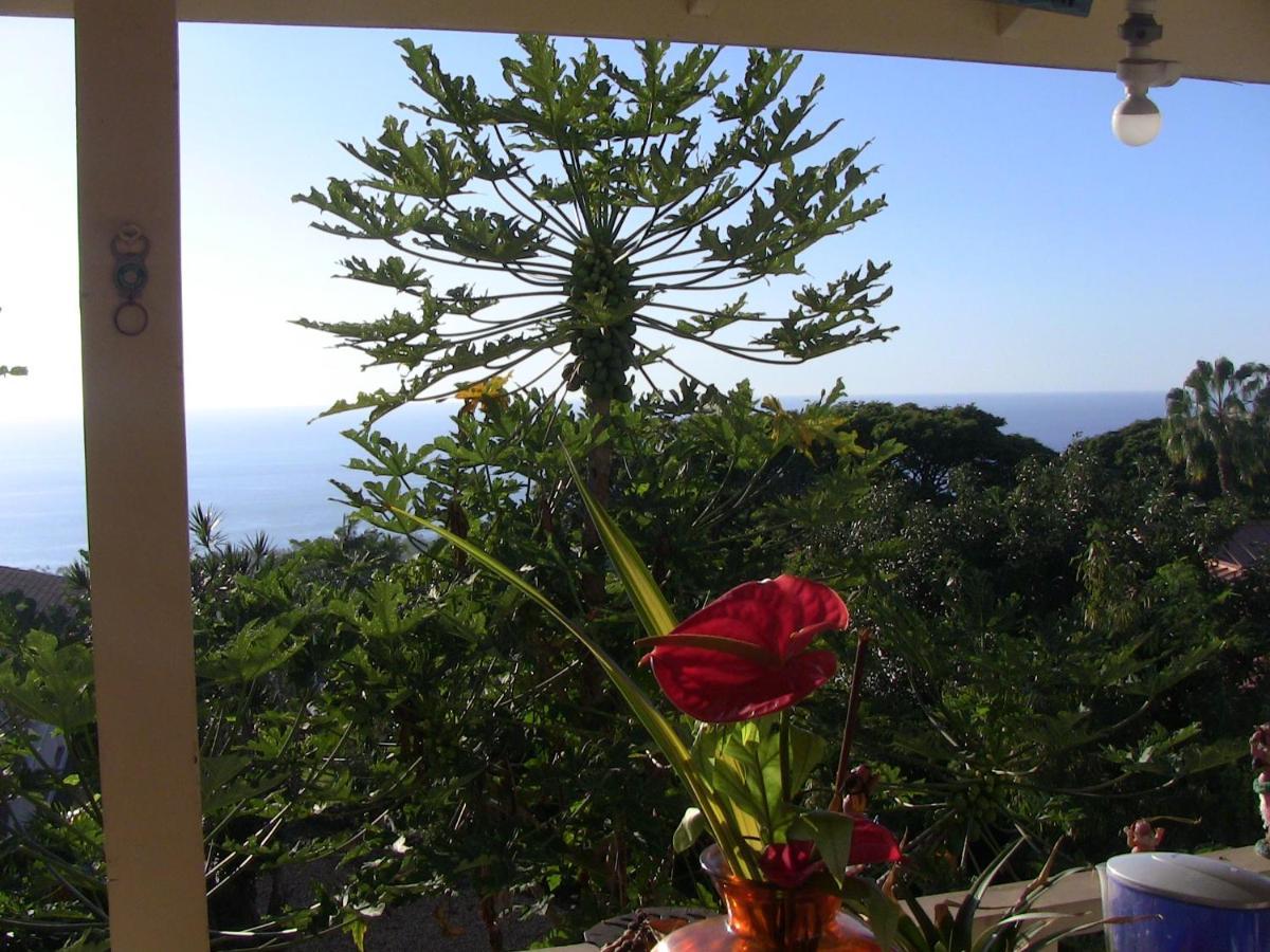 Kona Hawaii Guest House A Unique Hawaii Experience Keauhou Bagian luar foto