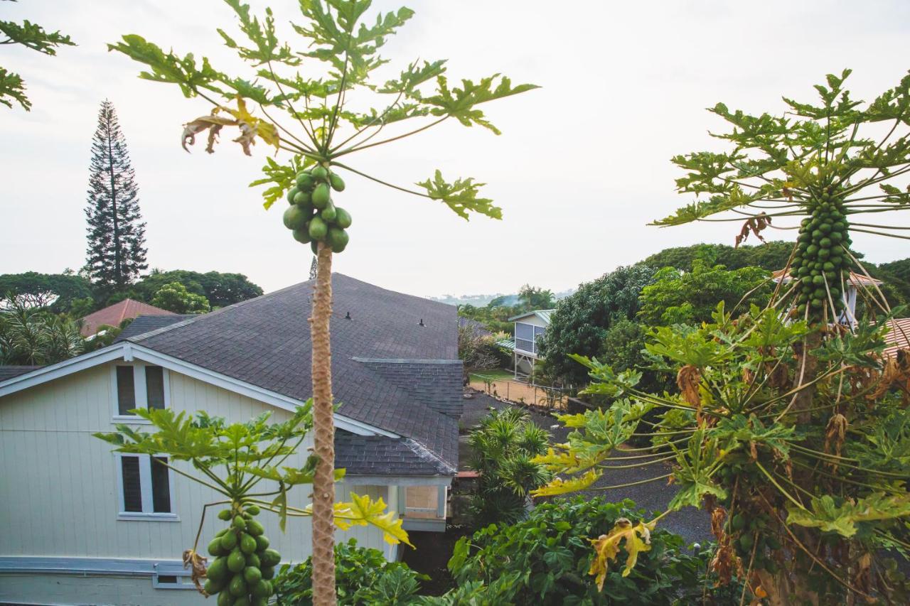 Kona Hawaii Guest House A Unique Hawaii Experience Keauhou Bagian luar foto