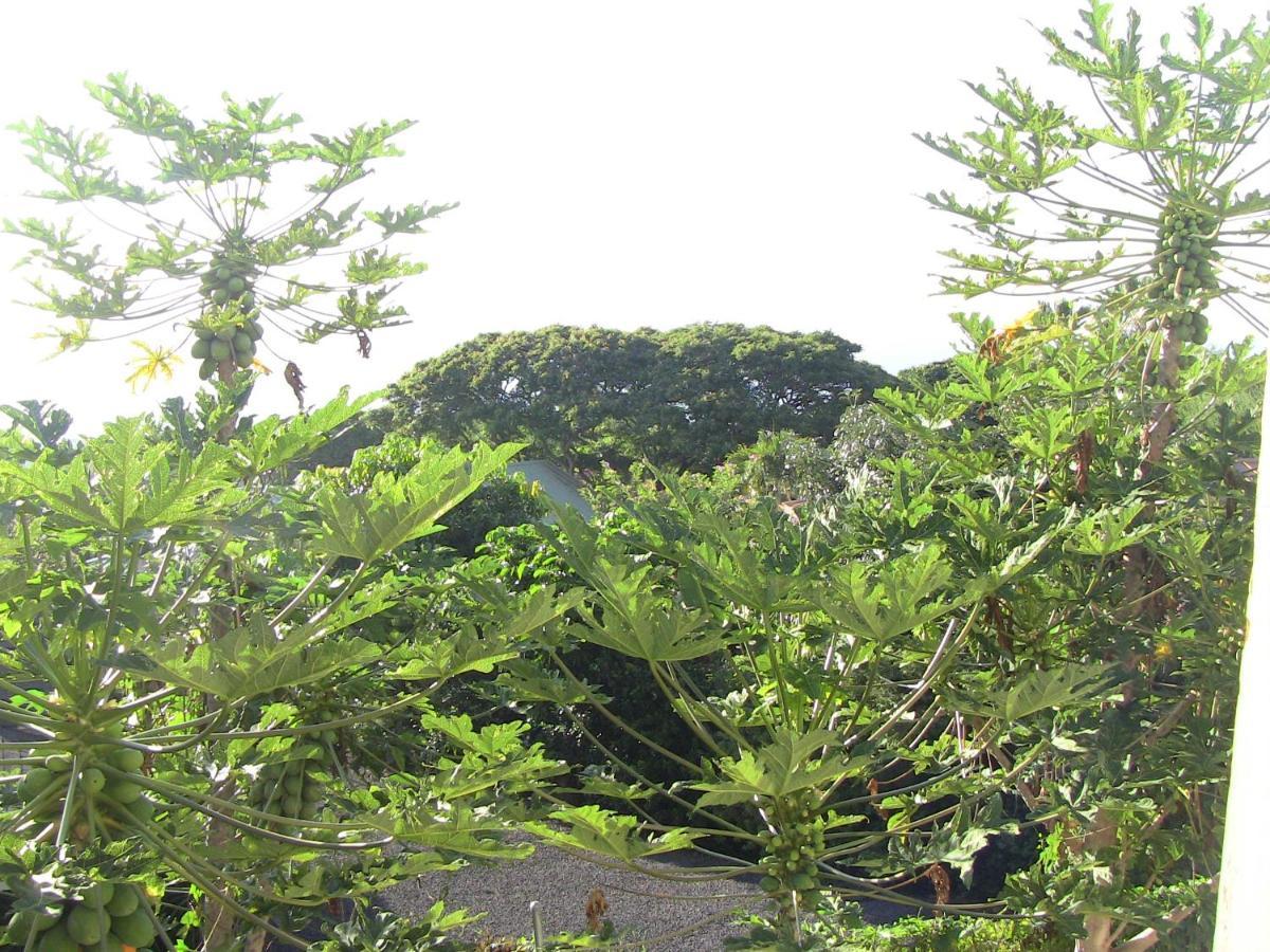 Kona Hawaii Guest House A Unique Hawaii Experience Keauhou Bagian luar foto