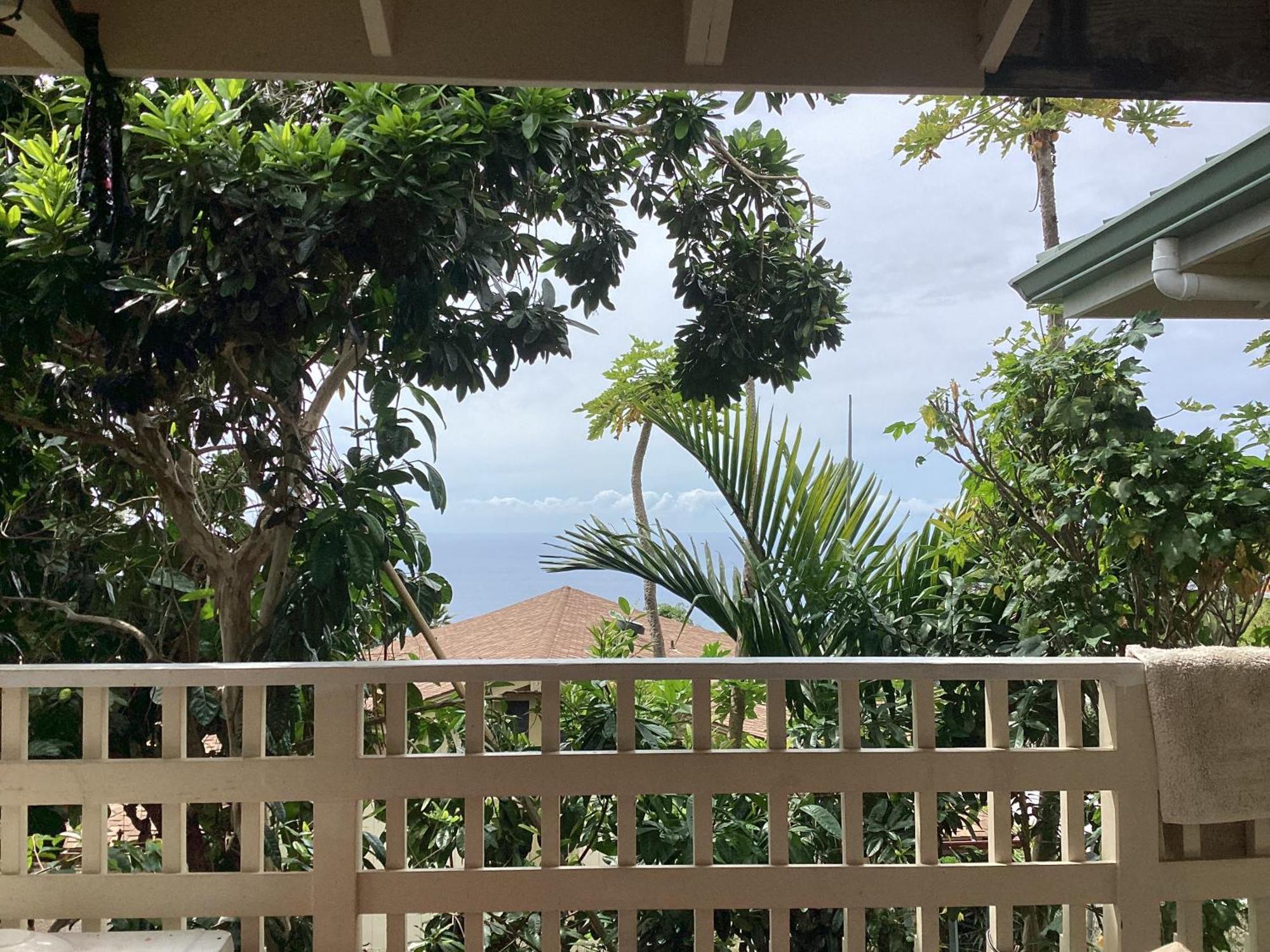 Kona Hawaii Guest House A Unique Hawaii Experience Keauhou Bagian luar foto