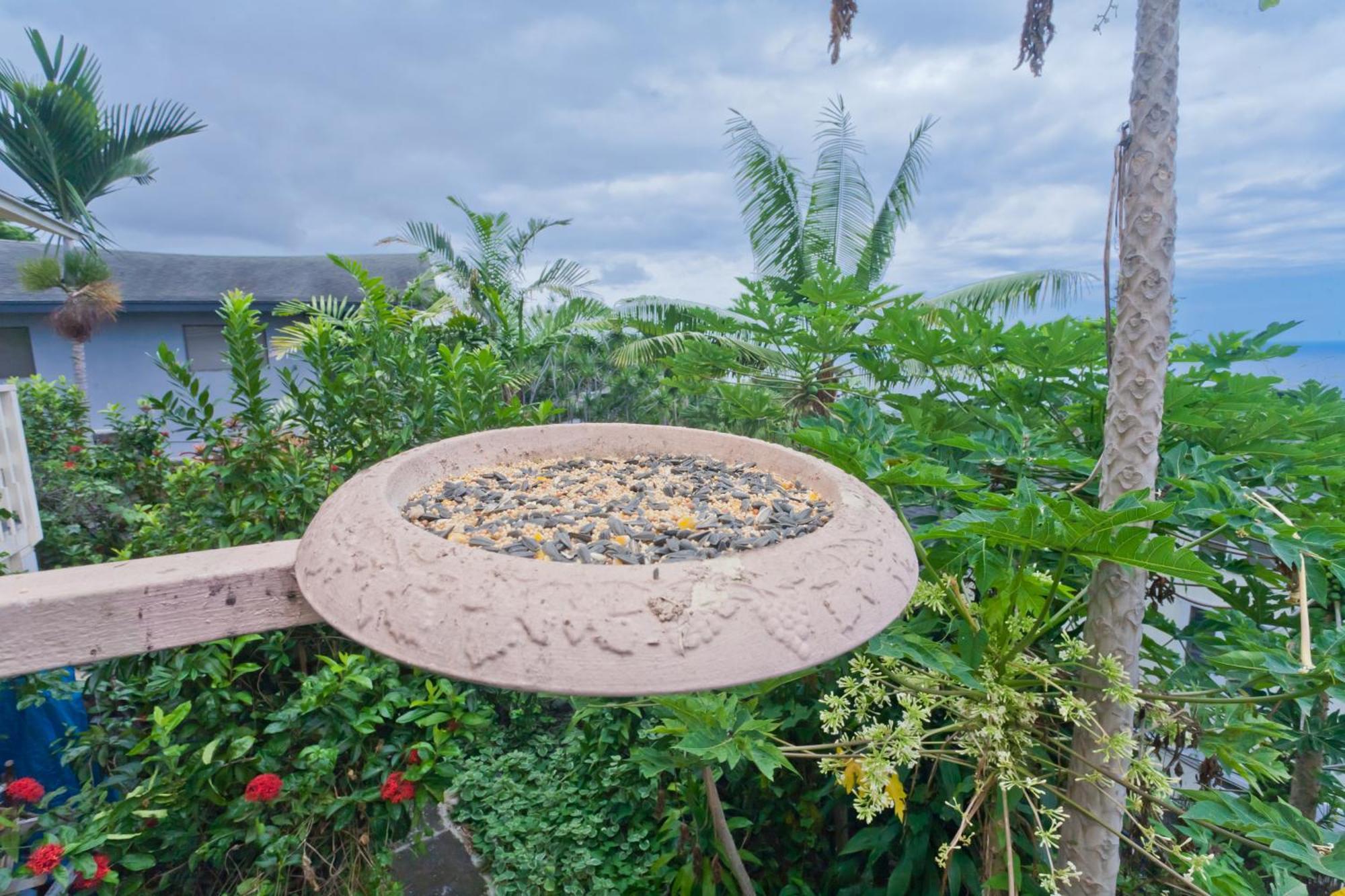 Kona Hawaii Guest House A Unique Hawaii Experience Keauhou Bagian luar foto